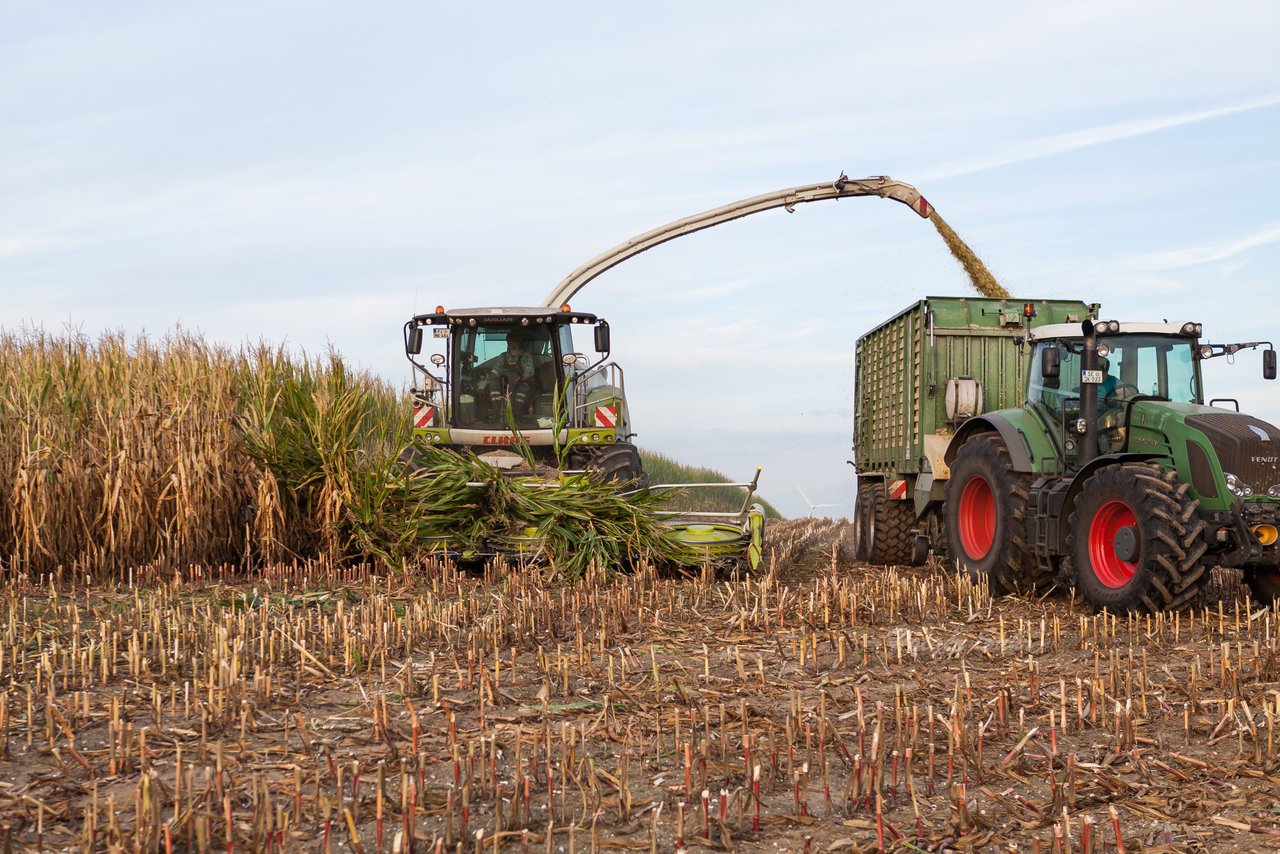 Bild 92 - Maisernte 2016